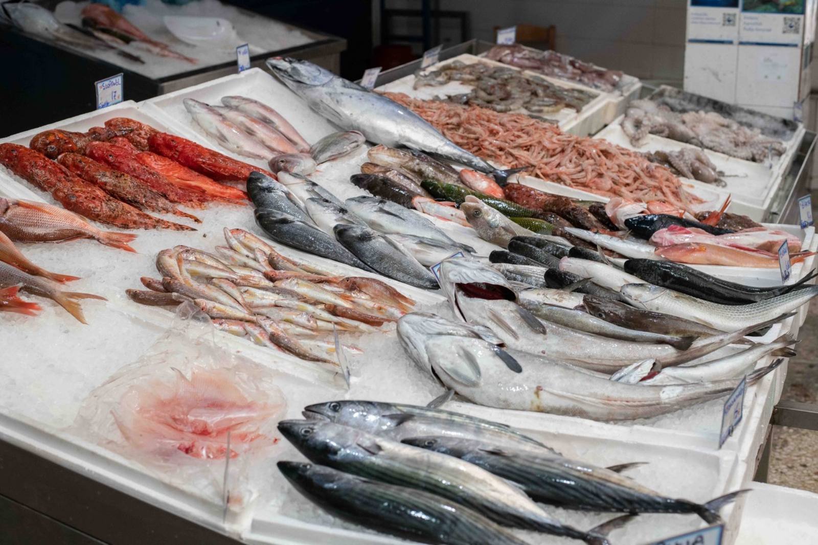 Fresh fish selection displayed across the market counters