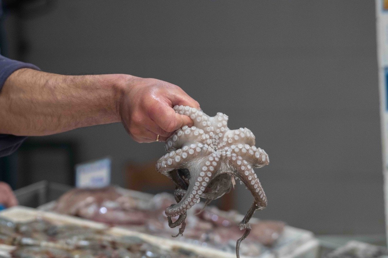Fishmonger holding an octopus at the market