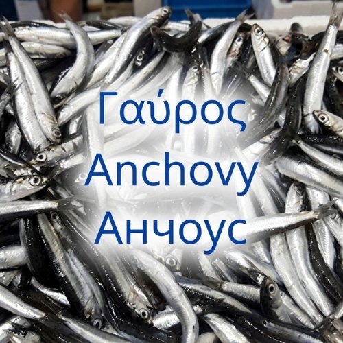 Γαύρος