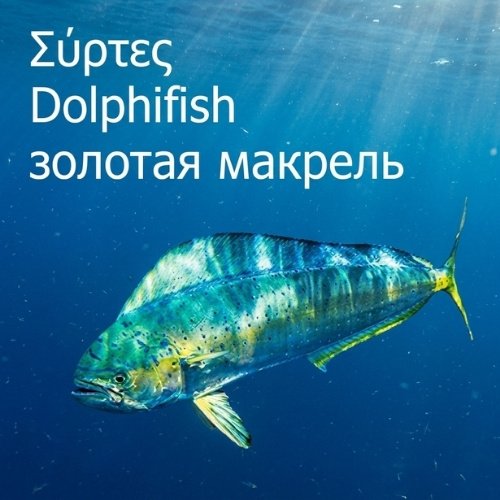 Σύρτες