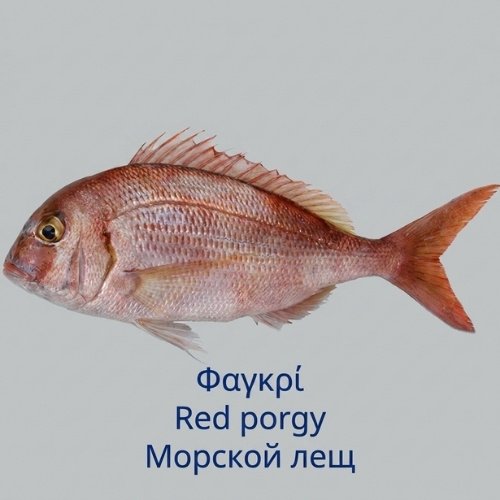 Φαγκρί