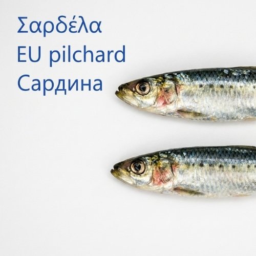 Σαρδέλες