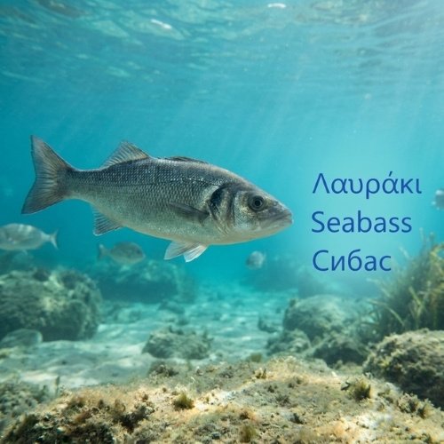 Λαυράκι